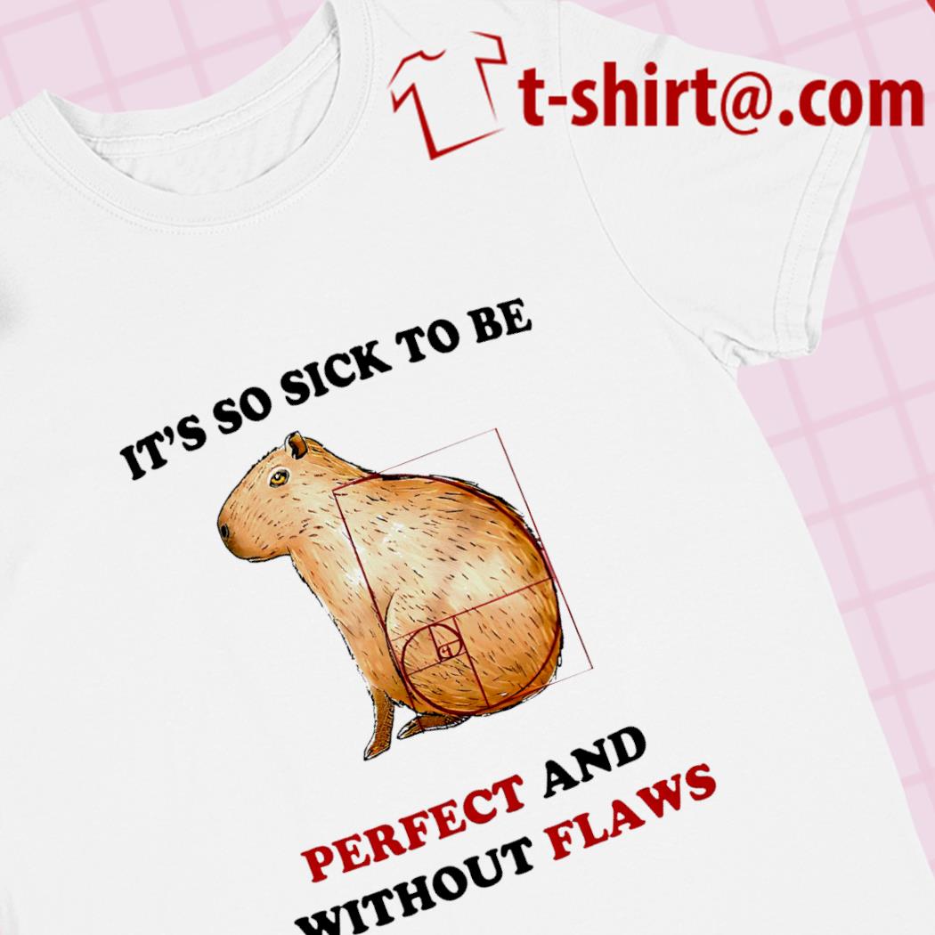 It's so sick to be perfect and without flaws funny 2023 T-shirt